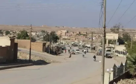 Cenazeya Seidiye El Emo gihîşt Hesekê