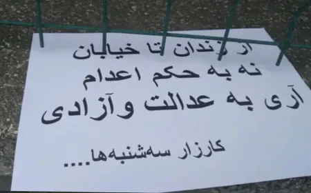 Kampanyaya'Sêşema na ji darvekirinan re: 342 girtî hatin darvekirin