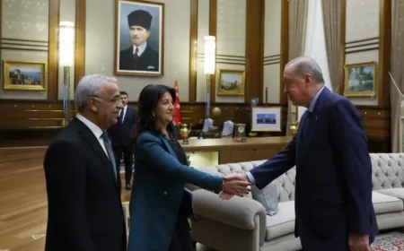 Heyeta DEM Partiyê bi Erdogan re civiya