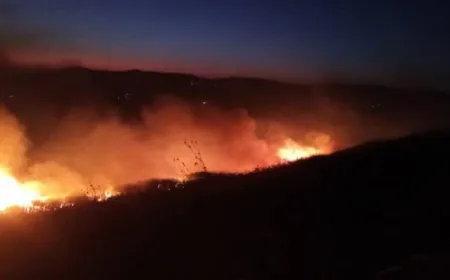Hêzên Îsraîlê êrişî gundewarê Quneytrayê kir
