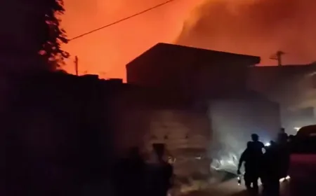 Li Cezayîrê di encama şewatên daristanan de 12 kes mirin
