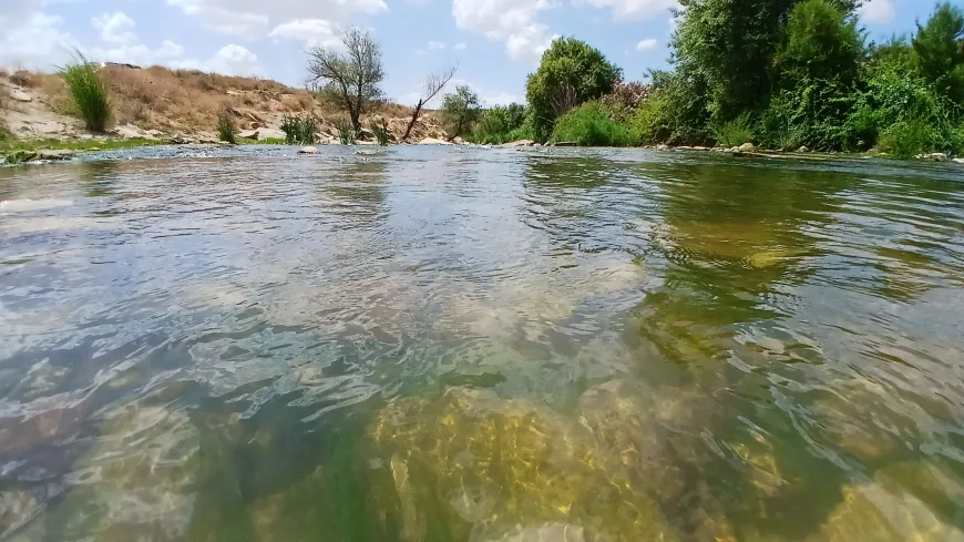  Di wêneyan de deşt û girên zeytûnê yên Efrînê