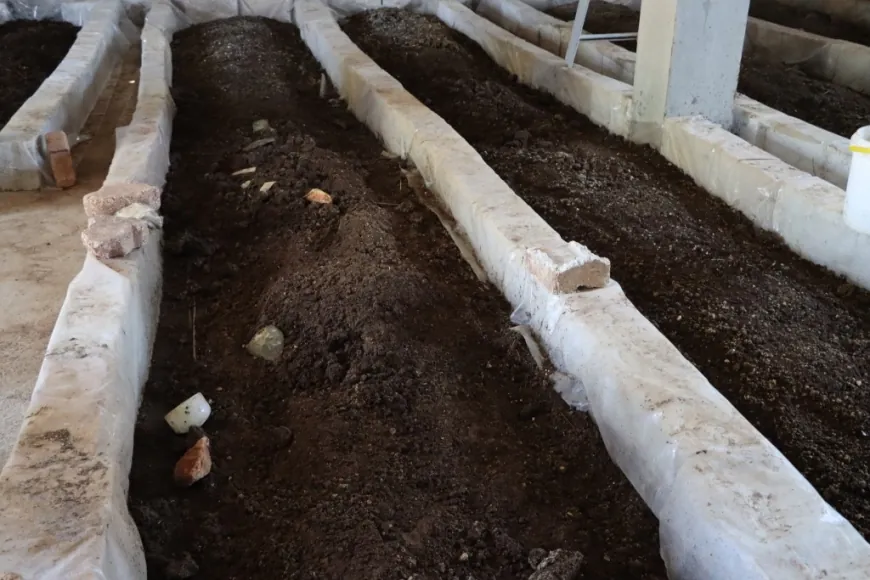Komîteya Ekolojiyê 2 cureyên gubreya xwezayî hilberandin