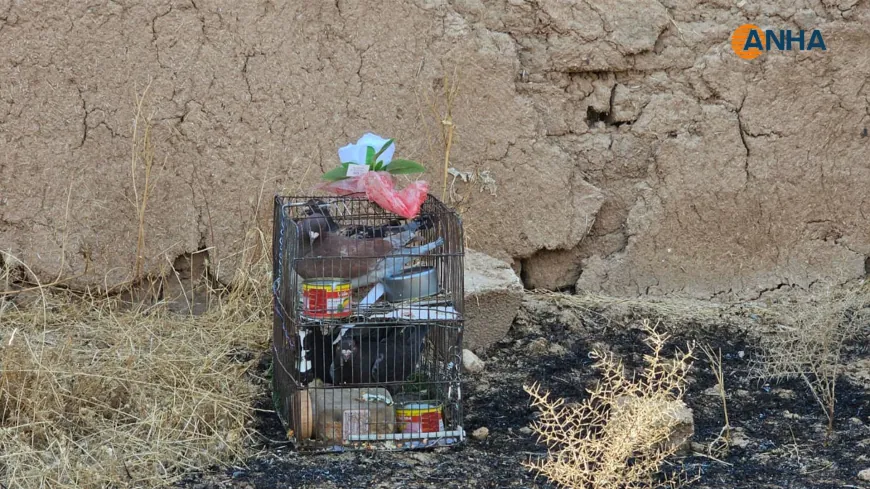 Karwanê koçberên Serêkaniyê gihîşt warê xwe