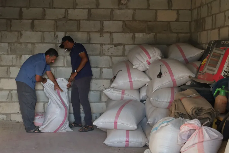 Cotkarên Aliyanê tovên genim û ceh amade dikin
