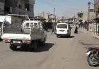 Buhayên sotemenî, xurek û gumrikê zêde dibin