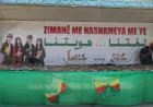 ‘Divê zimanê kurdî di hemû astên perwerdeyê de bibe zimanê fermî’