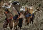 Li ser sînorê Rojhilatê Kurdistanê di 6 mehan de 13 kolber hatin kuştin