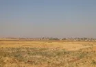 Li Cizîrê cotkar ji ber polîtîka hikûmetê bê zarin