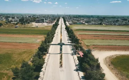 Di rojekê de li Tirbespiyê dûpişkan bi 7 kesan veda
