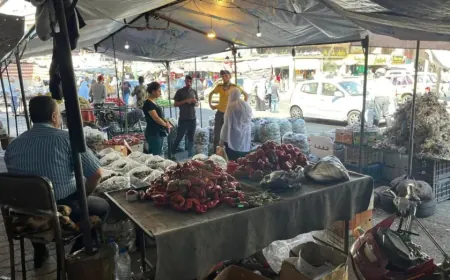 Li Siwêdayê bazirganên sebzeyan protesto kir