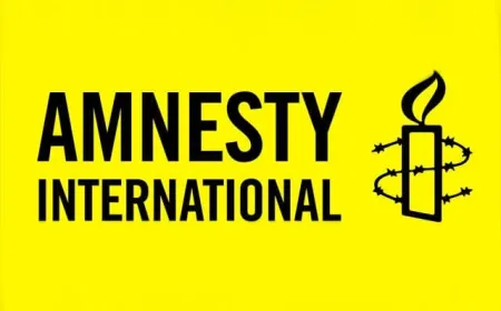 Amnesty daxwaza dadgehkirina 87 berpirsên Îranî kir