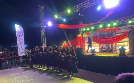 Festîvala Havînê ya Dêrikê di roja 2’yemîn de ye