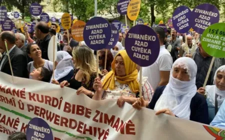 Platforma Yekitiya Neteweyî ya Jinên Kurd: Divê Kurdî bi destûrî were mîsogerkirin