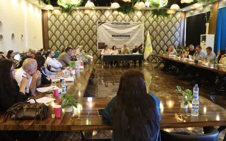 Parêzeran hebûna zimanê kurdî di destûrê de nîqaş kir