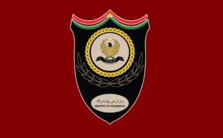 Wezareta Pêşmerge: Vekişîna Amerîka ya ji Herêmê cihê fikarê ye