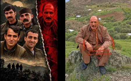 Tîmên Tolhildanê li ser cezakirina kontra Heyder Mûradî daxuyanî da