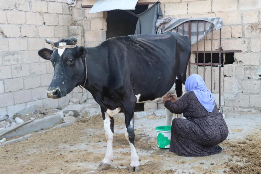 Jinên koçer li Dêrikê.. reseniya ku ji nifşekê diçe ji nifşeke din re