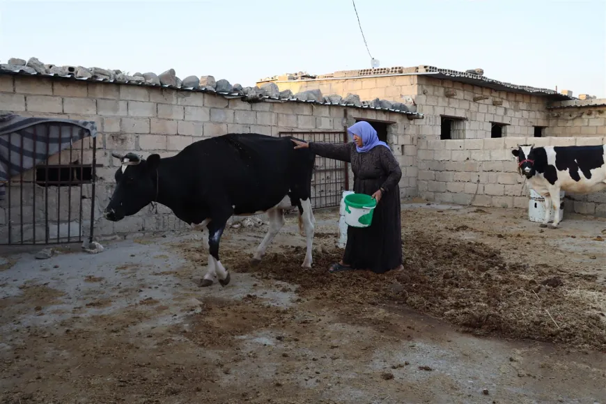 Jinên koçer li Dêrikê.. reseniya ku ji nifşekê diçe ji nifşeke din re