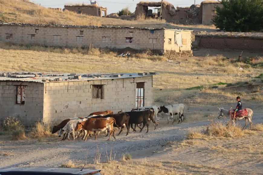 Elî Gamêş.. gundeke bîra deverê di nava girên şûnwarî de diparêze