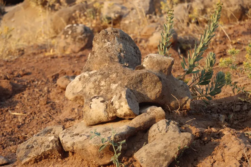 Elî Gamêş.. gundeke bîra deverê di nava girên şûnwarî de diparêze