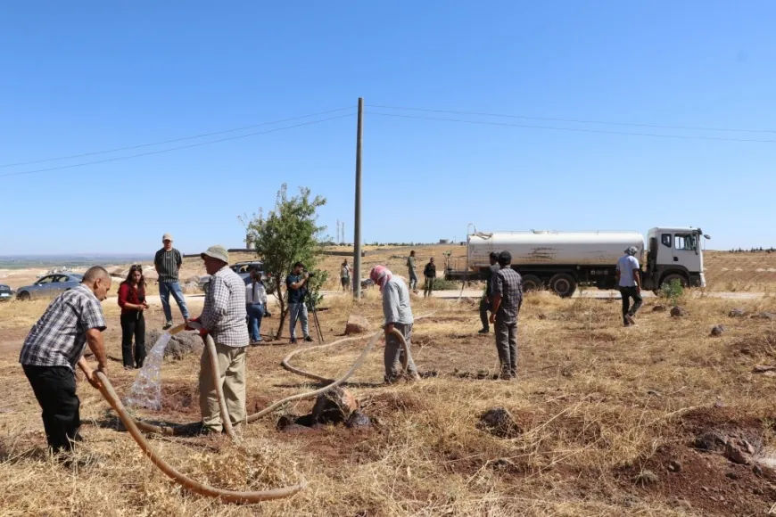 Girê Miştenûr ê Kobanê vediguherînin daristanê