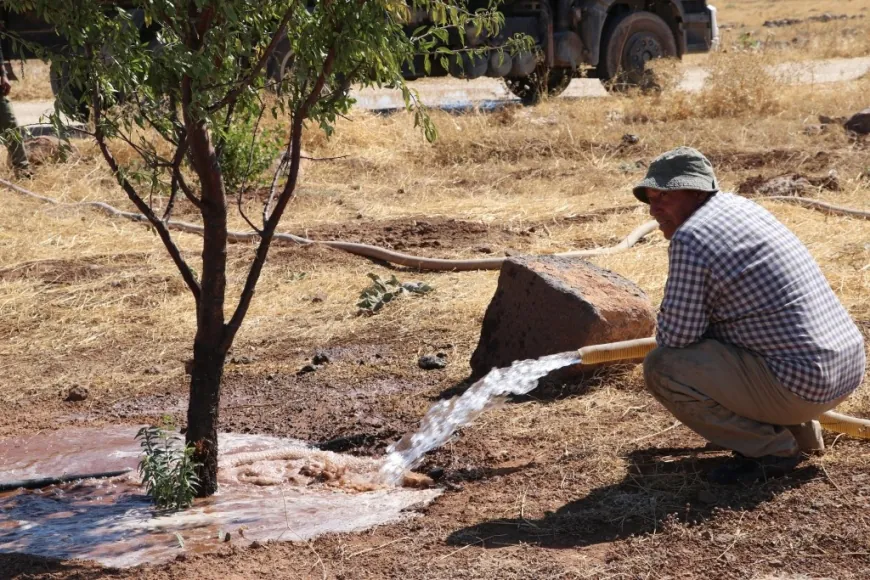 Girê Miştenûr ê Kobanê vediguherînin daristanê