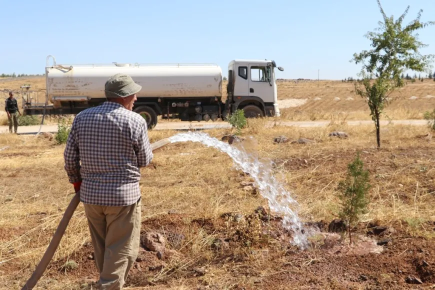Girê Miştenûr ê Kobanê vediguherînin daristanê