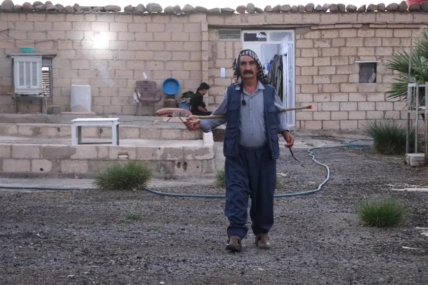 Dengekî koçeriyê; Nezîr Ciwêl