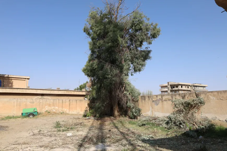 Piştî bihabûna mazotê malbat li alternatîfên cuda digerin