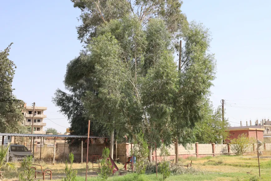Piştî bihabûna mazotê malbat li alternatîfên cuda digerin
