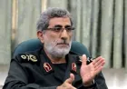 Qaanî: Berxwedana Îslamî ya Iraqê Amerîka neçarî vekişînê kir