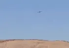 Balafireke şer bi nizmî li ser Tedmurê digere