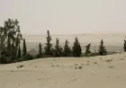Balafirên şer gundewarên Humsê bombebaran kir