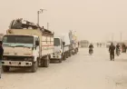 381 malbatên li Kampa Serêkaniyê amadekariyên dawîn ên vegerê dikin
