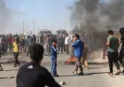 Koçberên Serêkaniyê daxwaza vegera malên xwe kir