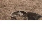 Li Iraqê cihekî şûnwarî hat dîtin