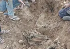 Piştî kêmbûna lehiyê li gundewarê Serêkaniyê termê kesekî hat dîtin