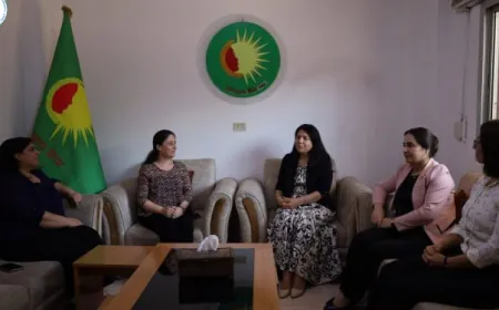MSD`ê bi saziyên siyasî û civakî yên jinan re hevdîtin kir