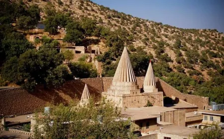 Yekitiya Jinên Êzidî ya Rojava Cejna Cimayê pîroz kir