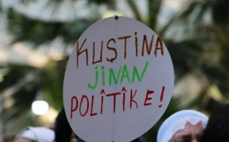 ‘Di meha Îlonê de li Tirkiyeyê 28 jin hatin kuştin’