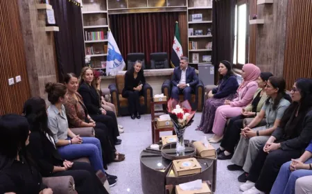 Şandeya Jinan a DEM Partiyê gera xwe li Kobanê didomîne