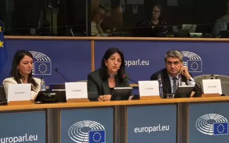 ‘Divê pirsgirêka Kurd bibe navenda têkiliyên bi YE'yê re‘