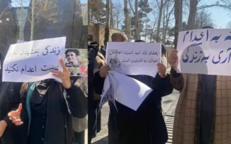 Kampanyaya "Sêşema Ji Darvekirinan re Na": 72 kes hatine darvekirin