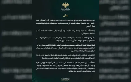 Wezareta Hundirîn a Sûriyeyê: Dê encamên lêpirsîna Renkosê ragihînin