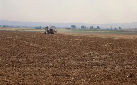 Nebûna destekdayînê hiştiye zeviyên çandiniyê kêm bên çandin