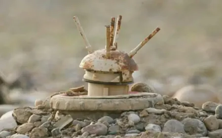 Li Dera û Hemayê ji ber teqîna mayînan 5 zarok bûn qurbanî