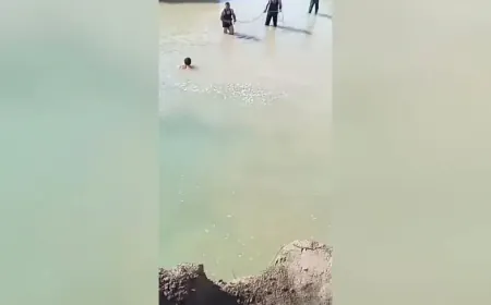 Li gundewarê Til Birak 4 zarok noqî avê bûn