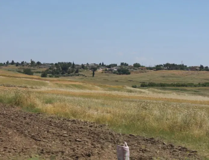 Şêniyên Aliyanê: Yekitiya Kurdan pêdiviyeke dîrokî ya parastina maf û destkeftiyan e