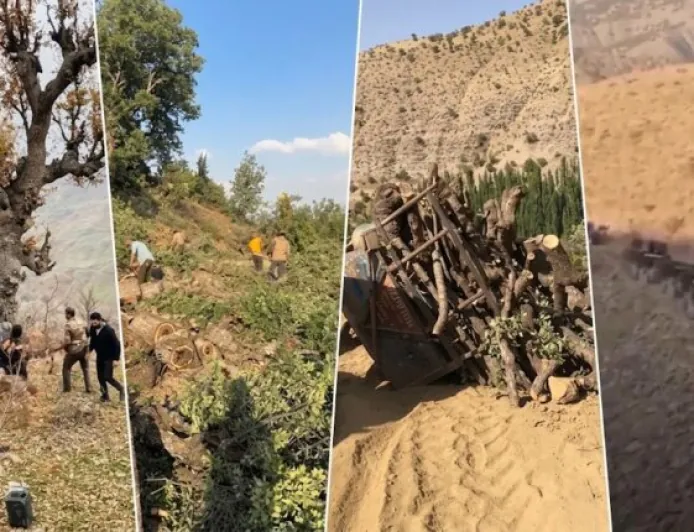 ‘Li beramberî birîna milyonan dar, Tirkiyeyê 30 hezar şitil dane Herêmê’